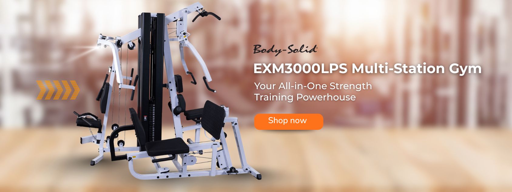 EXM3000LPS Multi-Station Gym